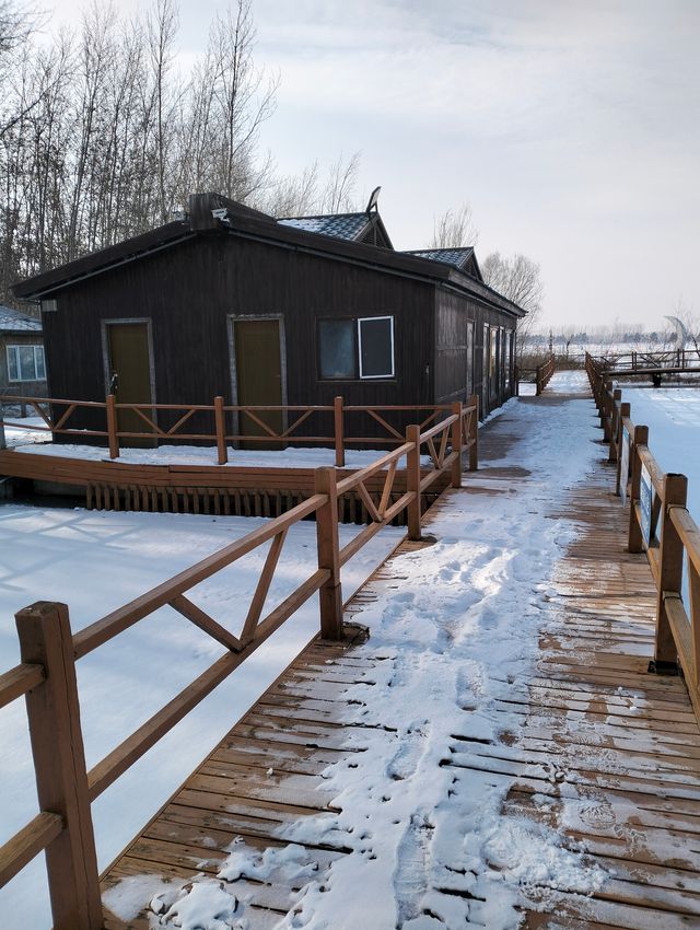 長春賓果戲雪王國上新啦