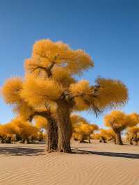春節6日遊 玩轉阿拉善-包頭-鄂爾多斯不重樣