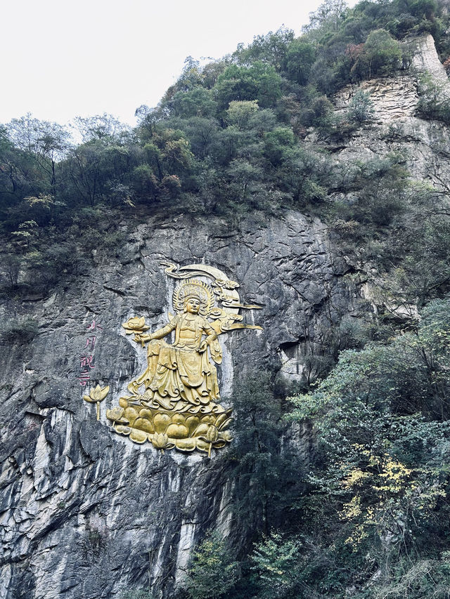 太白山國家森林公園！絕美