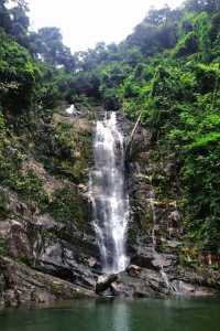鼎湖山風景名勝區