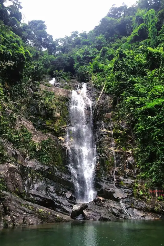 Dinghu Mountain Scenic Area