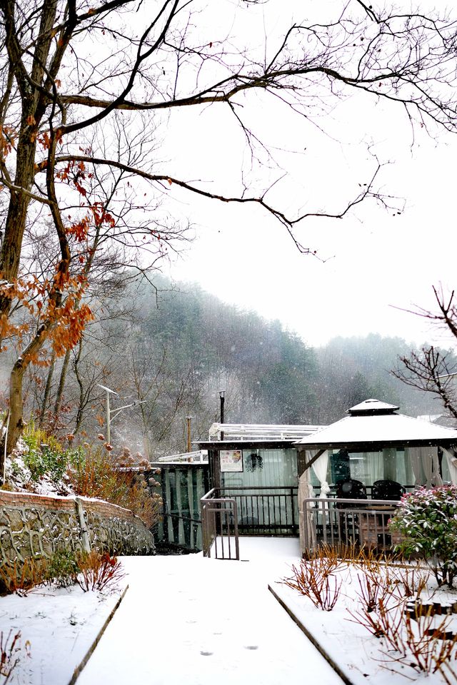 冬天唔使去北方啦！四川都有靚到爆嘅雪景～