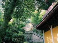 Millenia Heritage of Lingyin Temple