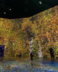 東京夢幻光影之旅：TeamLab Borderless