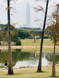 不愧是富人後花園，這很深圳