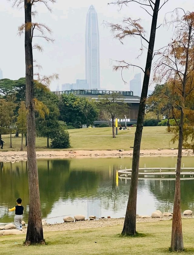 不愧是富人後花園，這很深圳