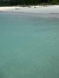 馬來西亞7日遊超詳細行程玩轉全島