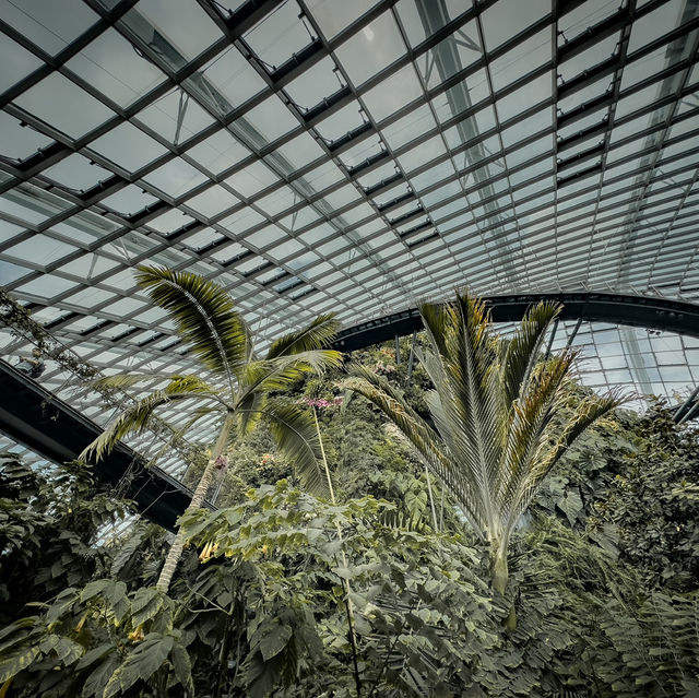Cloud Forest is a MUST SEE!