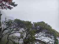 江西風景獨好：吉安·羊獅慕