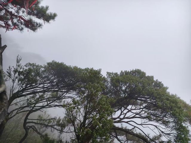 江西風景獨好：吉安·羊獅慕