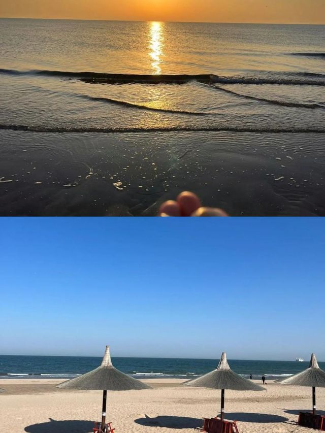 邂逅阿米代爾：澳洲的自然與人文之約