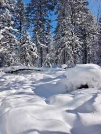 老里克湖徒步||喜歡玩雪的我很開心~~