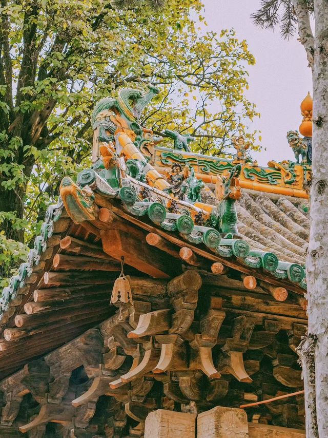 蒲縣東嶽廟 | 穿越時光的古建探秘之旅