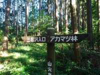 青葉森綠地公園