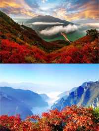 假期帶孩子探秘長江三峡-重慶 一篇就夠