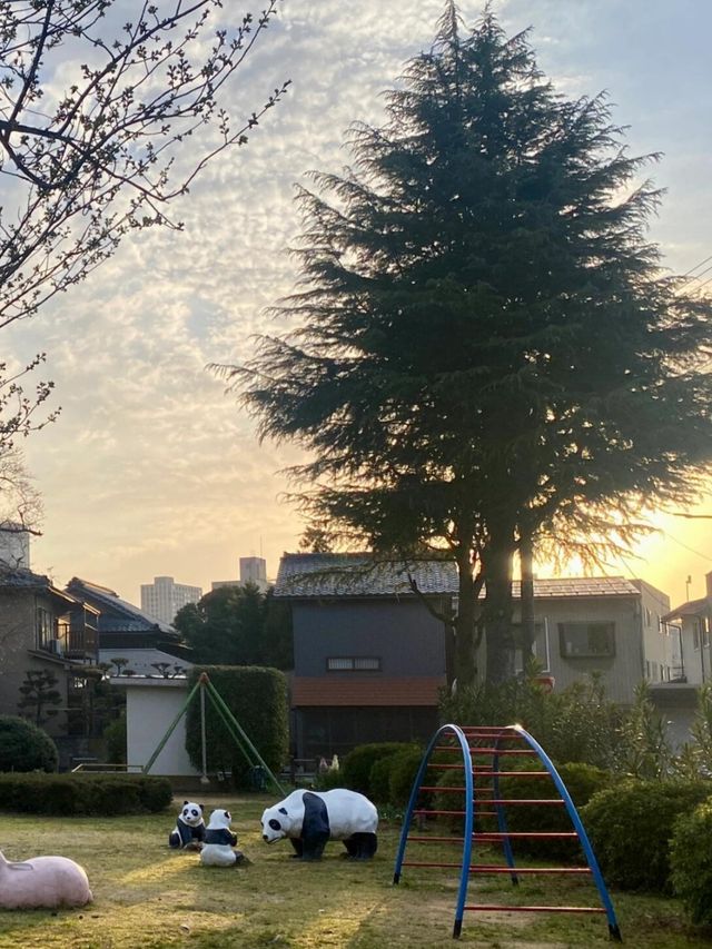 小眾恐龍縣兩天一夜寶藏之旅