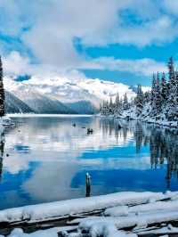 Whta an adventurous day at Garibaldi Lake❤️