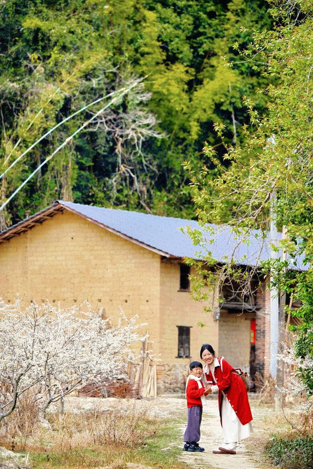 不要去桂峰村了！！這裏的李花才是無人境