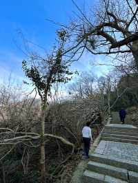 南京紫金山 | 純玩 2 日寶藏路線，不踩雷速碼