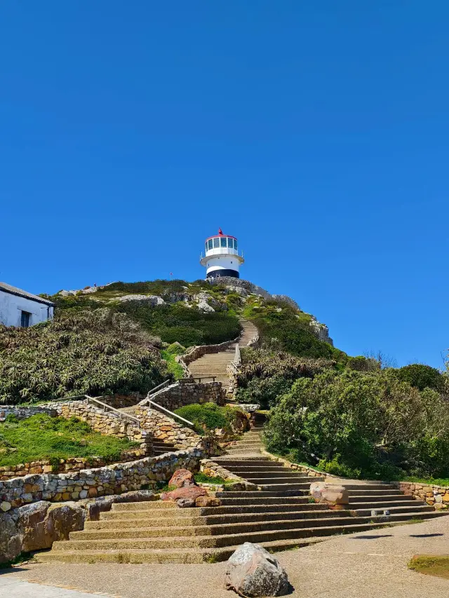 12-Day South Africa Tour: A Detailed Guide to Exploring Africa