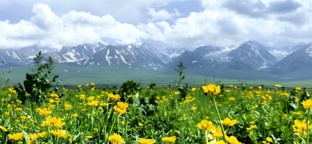 南北疆自駕遊（19）「空中草原」—那拉提