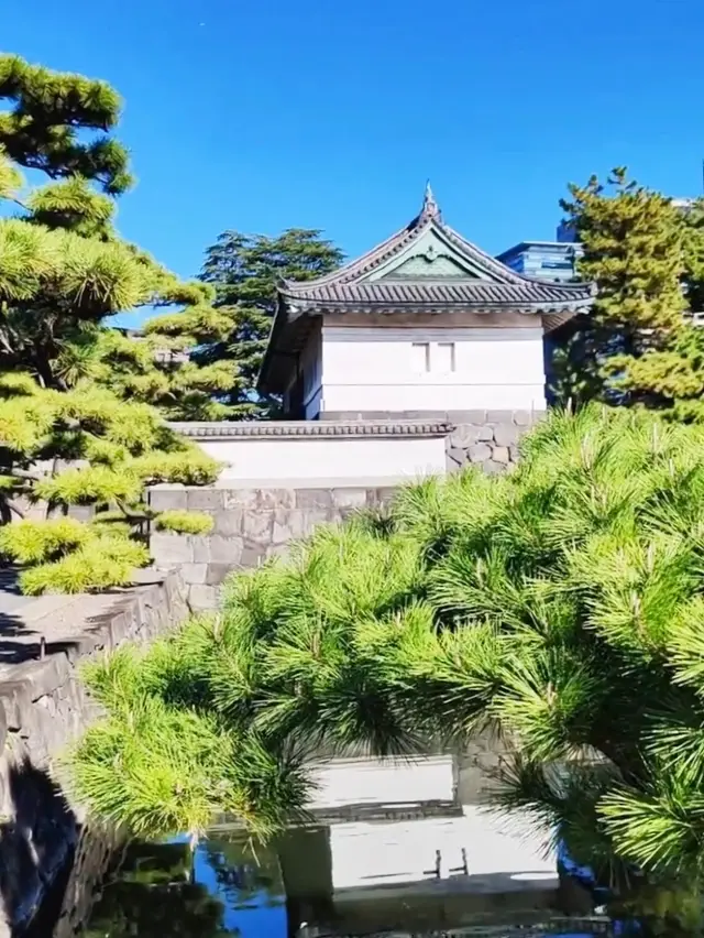 Tokyo, an Incredible City Tour
