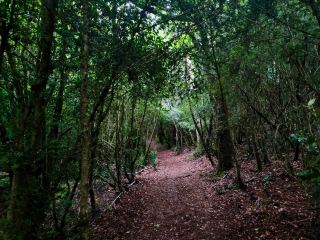Exploring Izki Natural Park: A Peaceful Escape in Álava 🌲🍃