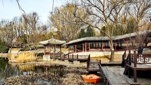 3月初的北塢公園，準備迎春了！