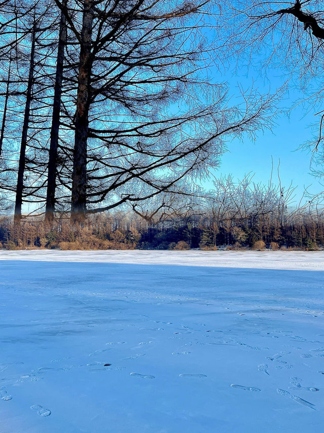 淨月潭森林公園半日遊，錯過等一年的冰雪美景