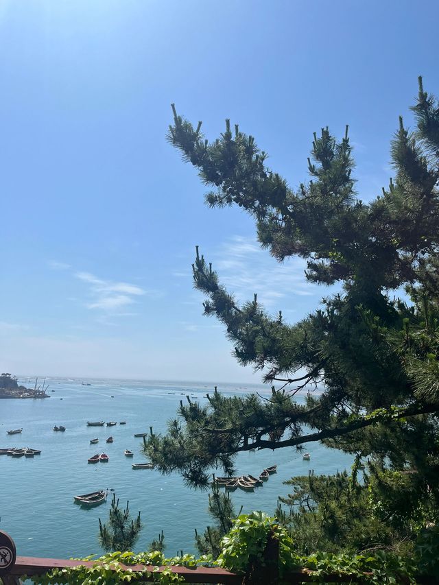 山東威海-蓬萊2日遊｜必打卡的熱門景點全攻略