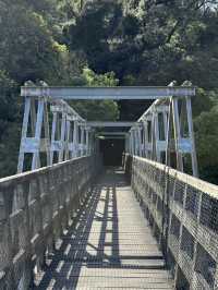 A Historical Mining Site Reclaimed By Nature, A Fascinating Hike