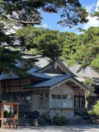 浪漫霧島：神話之里公園的絕美風光與甜蜜回憶