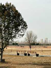 鍾意西安每個有陽光嘅日子