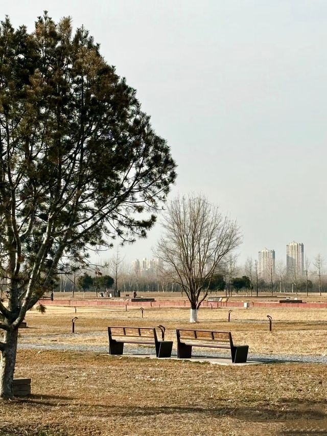 鍾意西安每個有陽光嘅日子 鍾意西安每個有陽光嘅日子