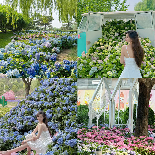 2025北京花海預警🌸收藏這份私藏賞花日曆就夠啦
