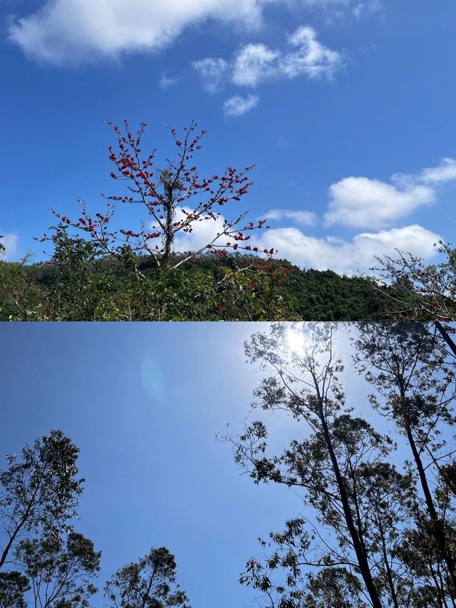 小長假去博鰲-香水灣超詳細攻略 不懂就問
