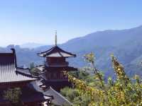 逃離深圳，開展一趟溫泉與禪意嘅心靈奇旅