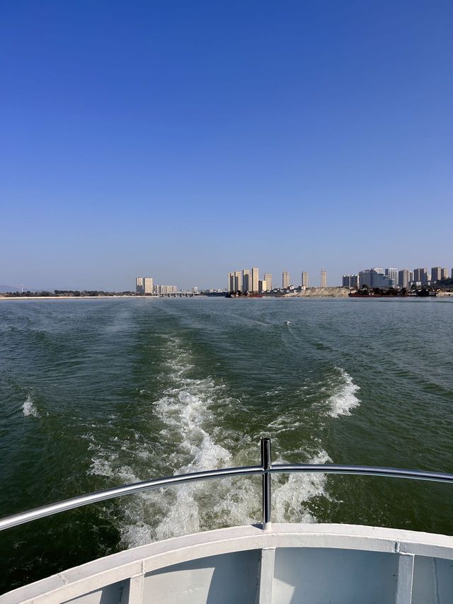 2025新春親子遊園推薦大戶外