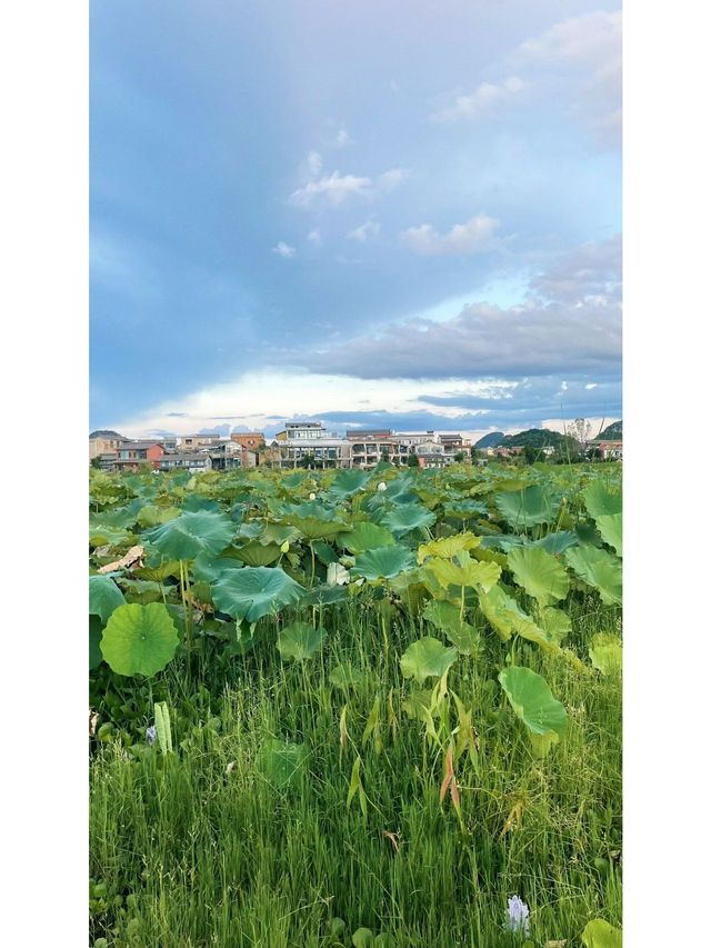 3天玩轉雲南普者黑-元陽超全攻略速覽