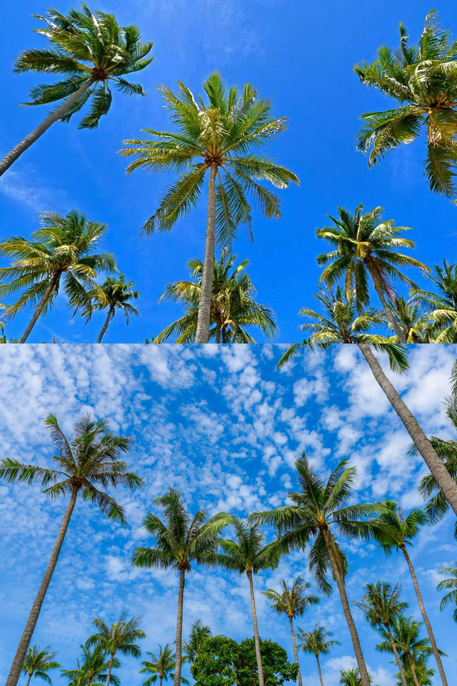 泰國皇帝島，暹羅灣的皇室秘島