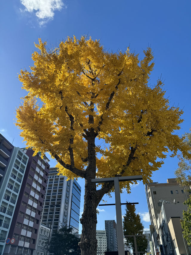 住吉宮與上川端通商店街一日遊：信仰與懷舊的交織⛩️🛍️