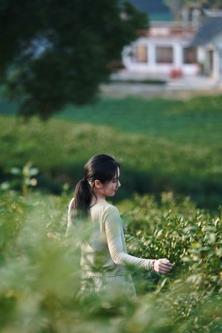 Niche Tea Gardens and Heart-Shaped Lake Air-Raid Shelter near Shanghai