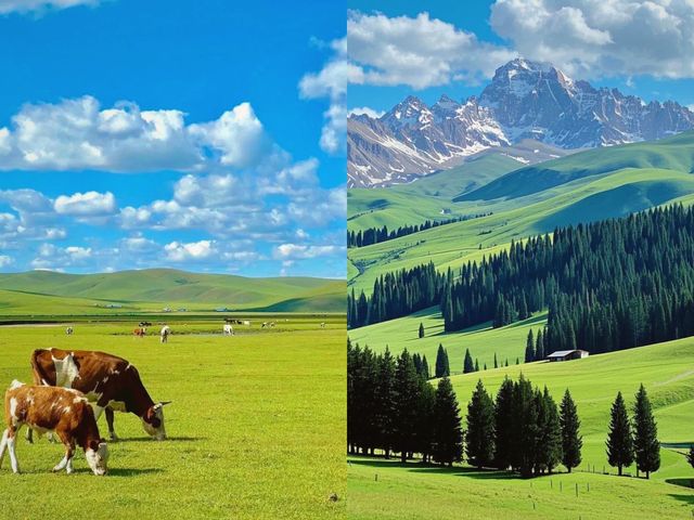 信仰之地那幾天 - 我住在神山懷抱