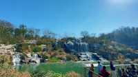 春天是逛公園的好時光～世博文化公園