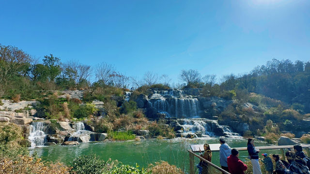 春天是逛公園的好時光～世博文化公園
