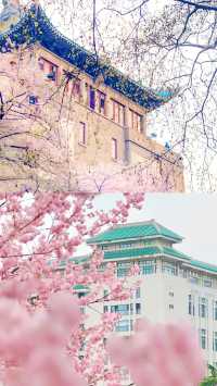 武漢大學攻略：預約，參觀路線，拍照打卡