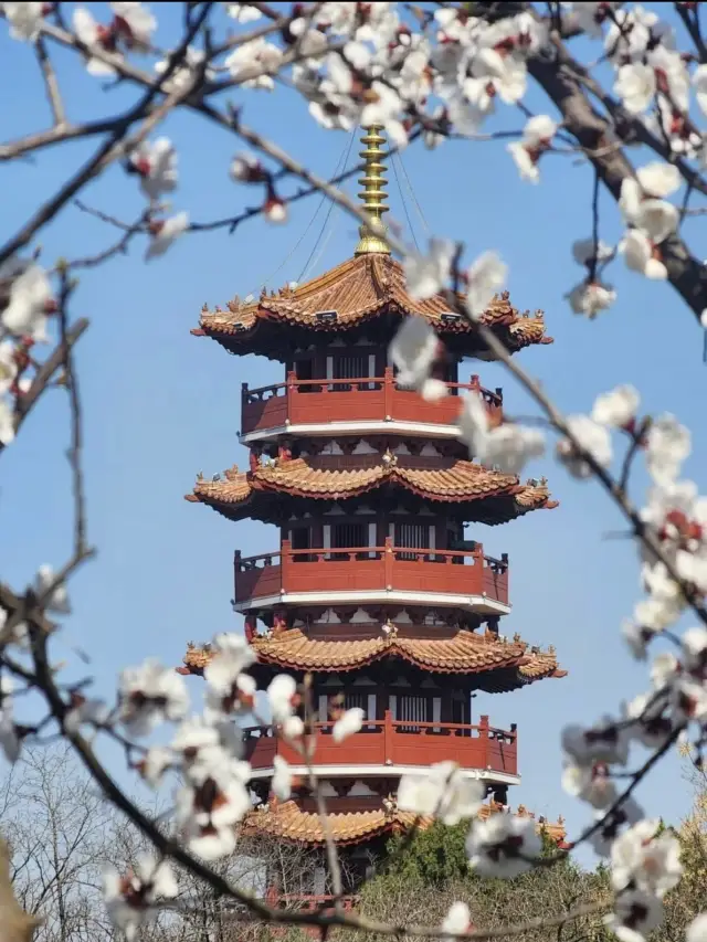 여행 필수 숙소! 조식 최고, 숨은 보석 호텔 다음에 또 와야지