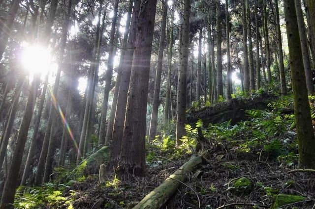 邂逅四川的「吳哥窟」——洪雅槽漁灘