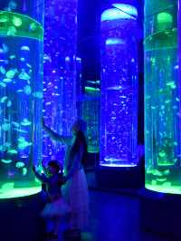 成都極地海洋公園保姆級攻略！🫧blue～