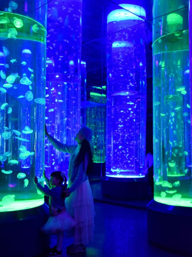 成都極地海洋公園保姆級攻略！🫧blue～